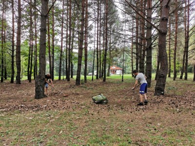 IMG_20240720_194022.jpg