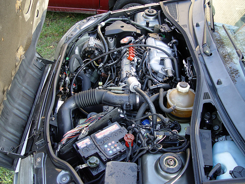 DSC05500.JPG