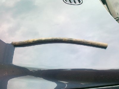 20130526518.jpg
